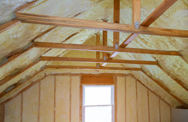 Best Energy-efficient Insulation  in Schererville, IN