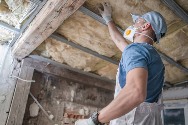 Best Attic Insulation Installation  in Schererville, IN