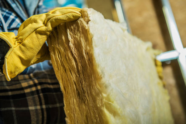 Best Insulation Inspection Services  in Schererville, IN