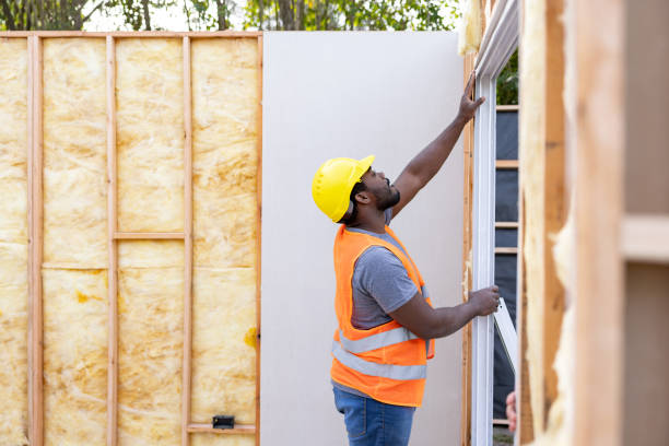 Best Residential Insulation Services  in Schererville, IN