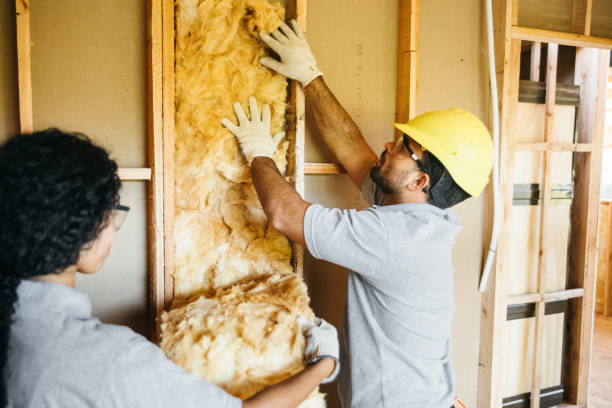 Best Wall Insulation Contractor  in Schererville, IN