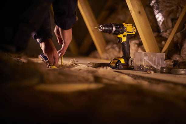 Best Professional Insulation Contractor  in Schererville, IN