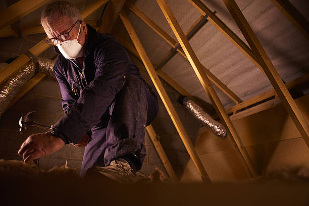Trusted Schererville, IN Insulation Contractor Experts